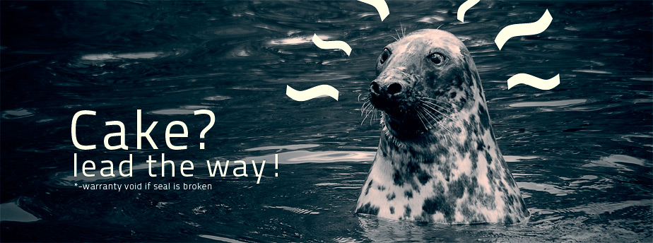 为您解决难题的短信炸弹防护业务